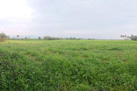 Land for Sale in Ormoc, Leyte | Dot Property