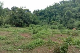 Land for Sale in Rodriguez (Montalban), Rizal | Dot Property