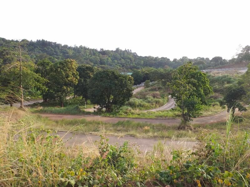 Affordable lot for sale in Antipolo City along Marcos hiway -Inside Executive Subd