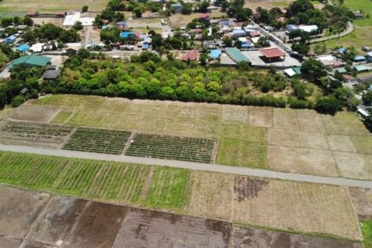 Land for Sale in Nueva Ecija | Dot Property