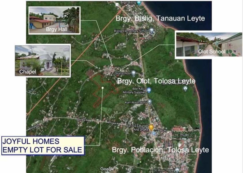 Lot for Sale in Olot, Tolosa, Leyte