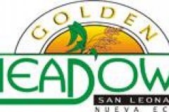 Golden Meadows San Leonardo
