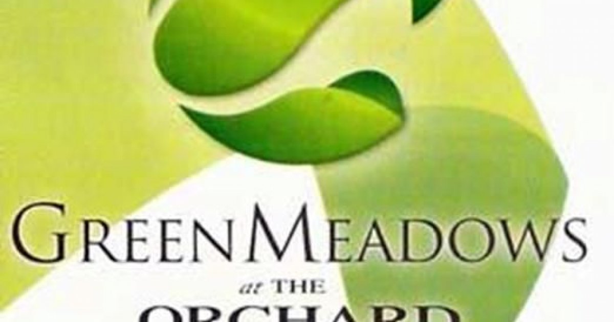 Green Meadows at the Orchard, Cavite 1 House for sale and rent Dot