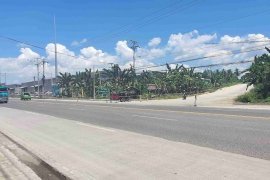 Land for sale in San Isidro, Davao del Sur