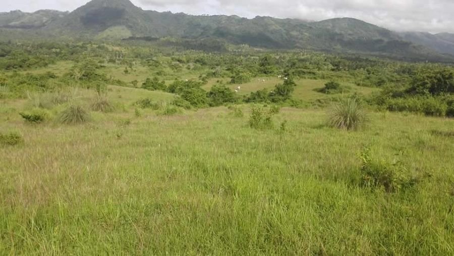 hectares lot in masbate for sale