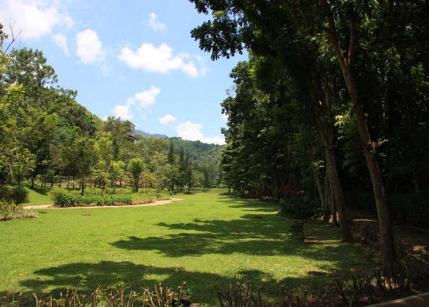 MARIA LUISA ESTATE PARK, Cebu 61 Houses for sale and rent Dot Property