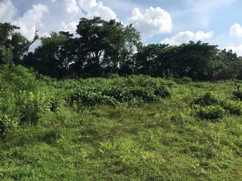 1.9 HECTARES FARM LOT FOR SALE SILANG NEAR CALAX