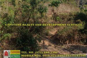 Land for sale in Cadaclan, La Union