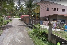 7 Bedroom House for sale in Salvacion, Davao del Norte