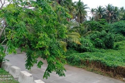 1 Hectare 10 000 Sq M Road Frontage Commercial Titled Lot Buhangin Baler Aurora Philippines Land For Sale In Aurora Dot Property