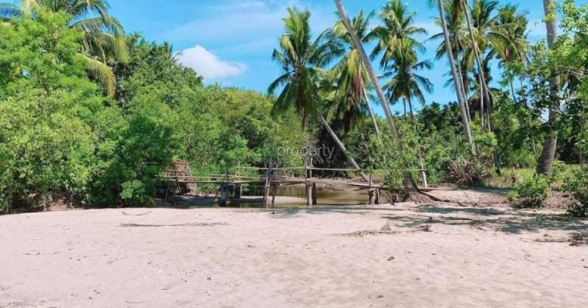 1.2 HECTARES WHITE SANDY BEACHFRONT TITLED LOT, LOCATED AT CAGUISAN