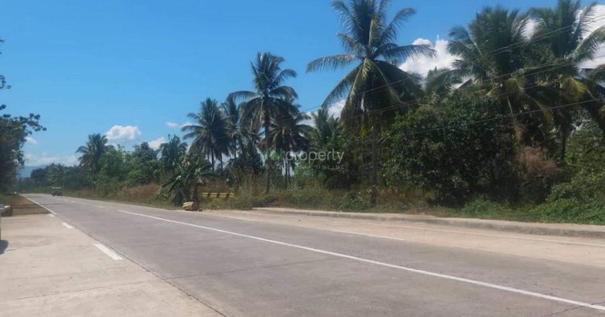 100 Hectares Property in Zamboanga Sibugay. 📌 Land for sale in