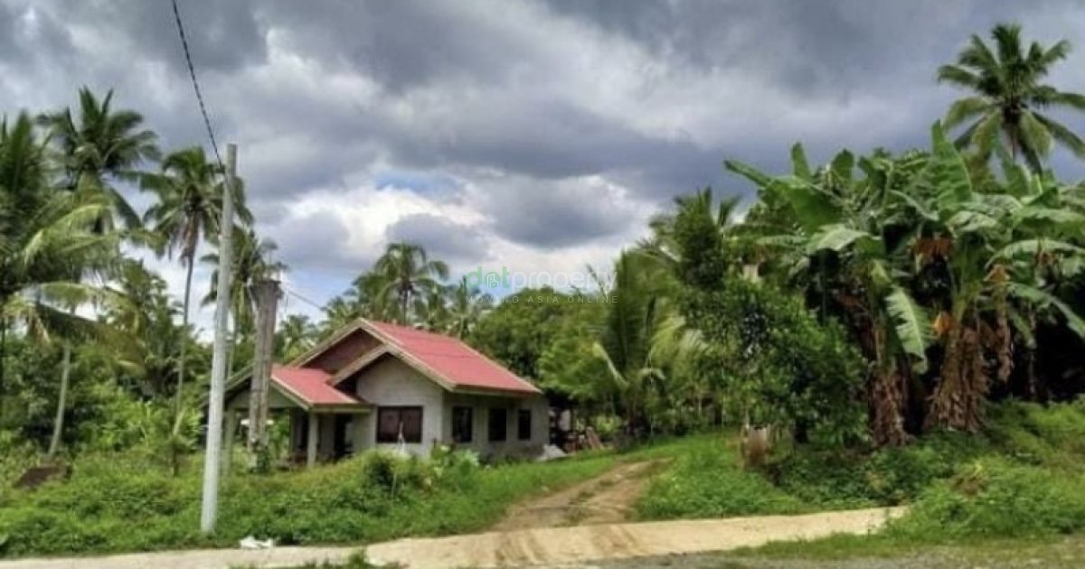 Farm lot in Alfonso Cavite for Sale along National road. 📌 Land for