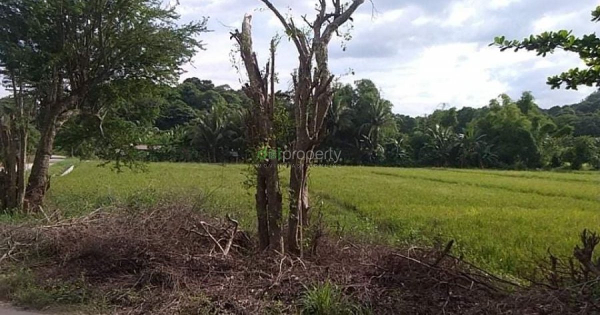 For Sale Lot Adjacent Boundary of Florida Blanca and Dinalupihan Bataan