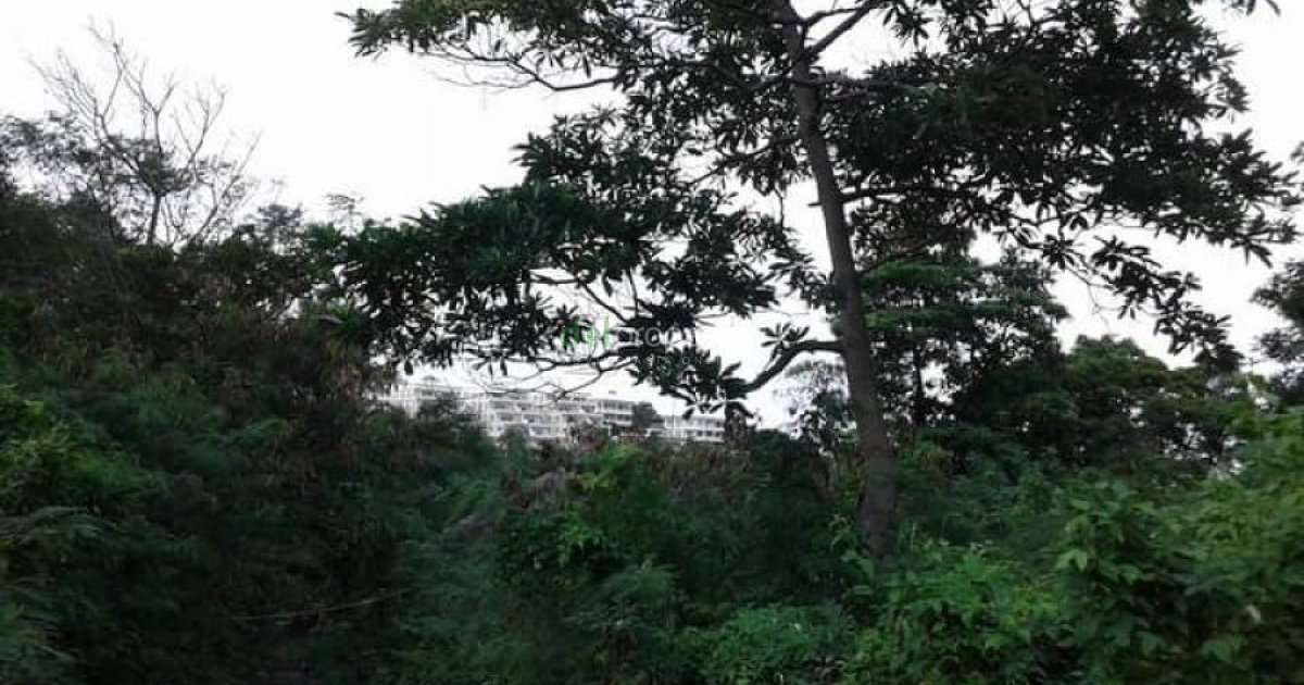 LOT FOR SALE .RUSH!!!!. 📌 Land for sale in Aklan Dot Property