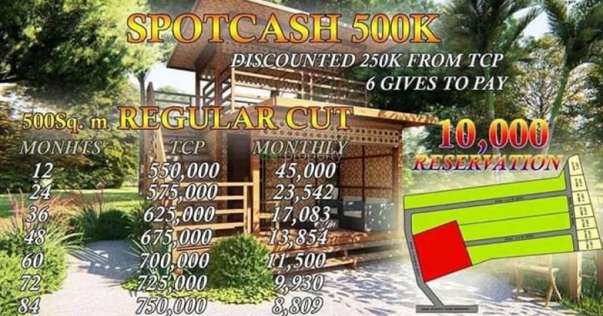 Farm Lot with Free Nipa Hut in Bohol. 📌 Land for sale in Bohol Dot