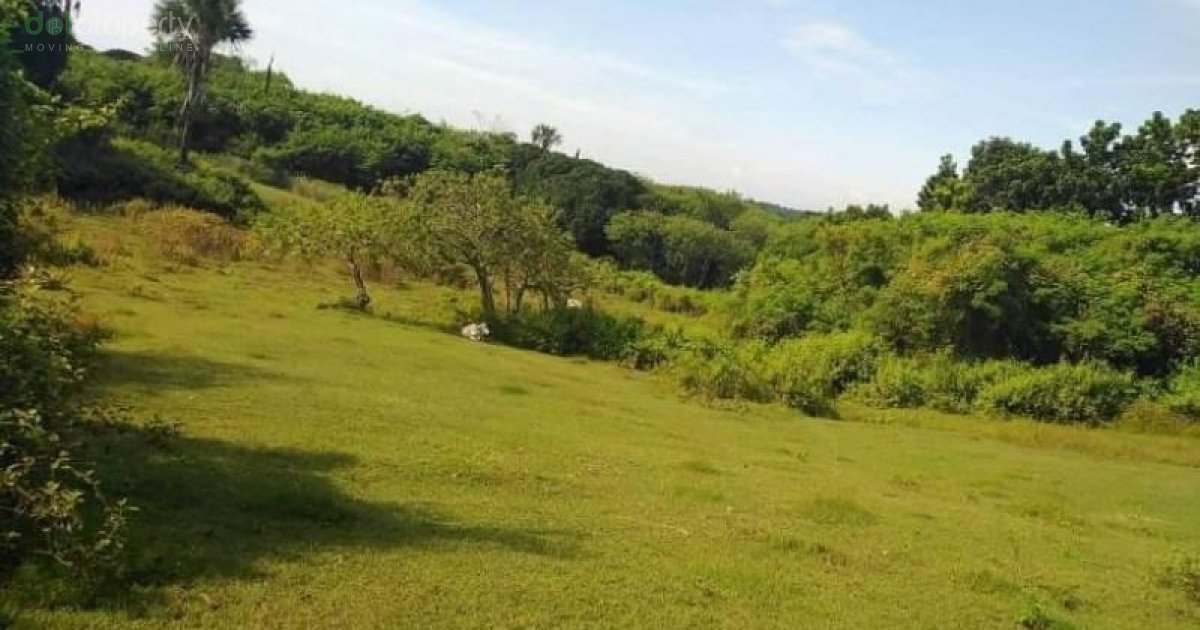 Lot for Sale in Manaoag, Pangasinan. 📌 Land for sale in Pangasinan