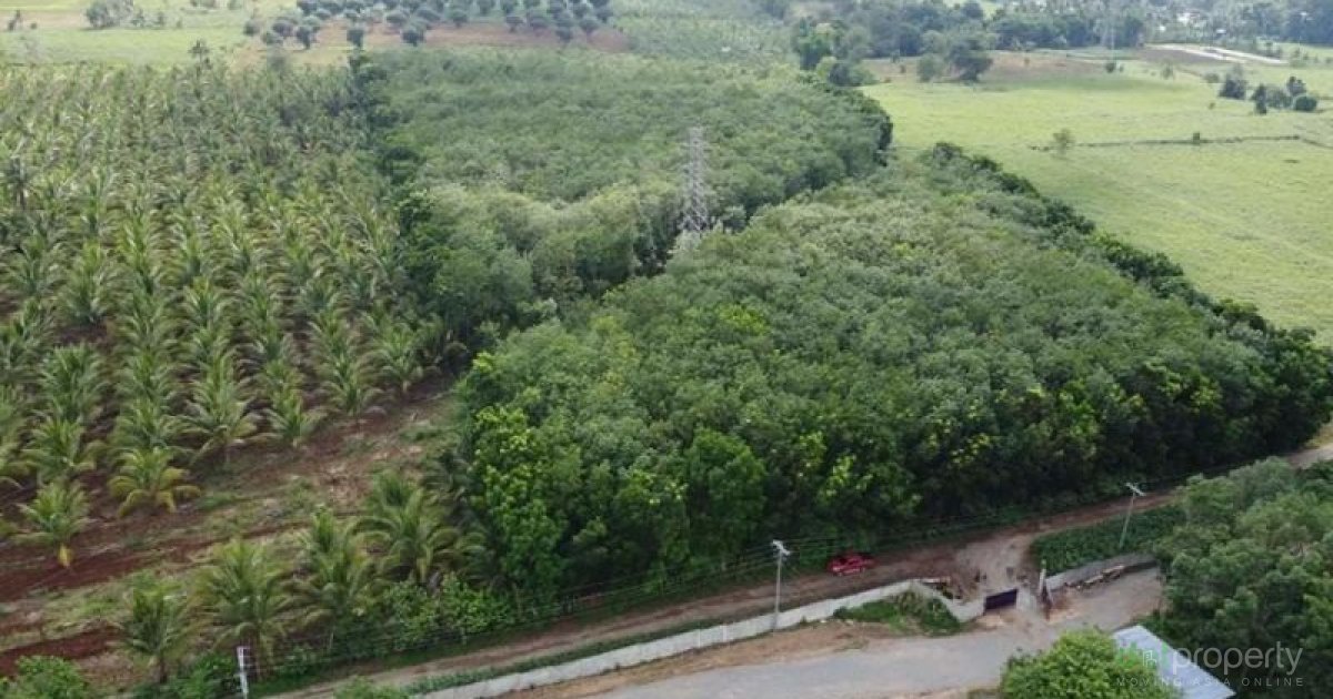 FARM LOT FOR SALE IN MANOLO FORTICH BUKIDNON. 📌 Land for sale in