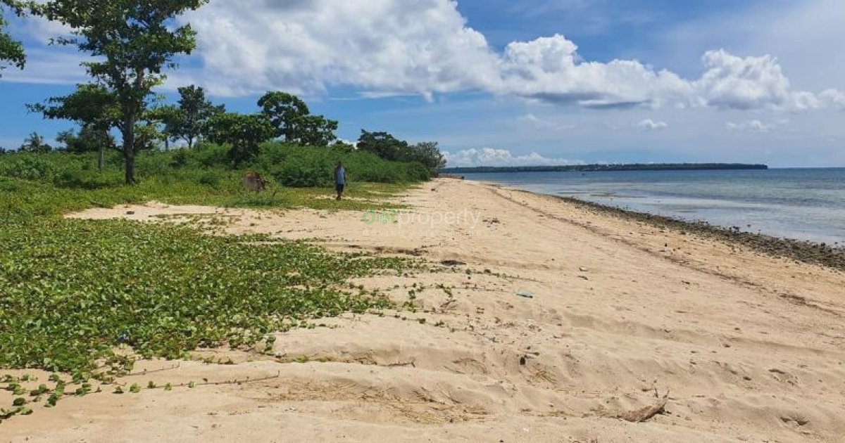 Beach Property In Bakhawan Daanbantayan Cebu For Sale Land For Sale In Cebu Dot Property