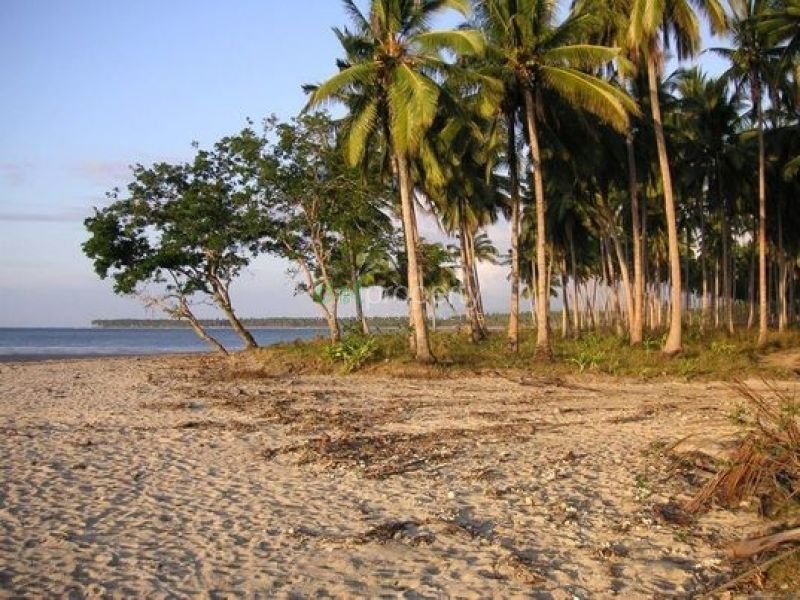 141 Hectares Beachfront Property For Sale at Aramaywan Quezon Seaside ...