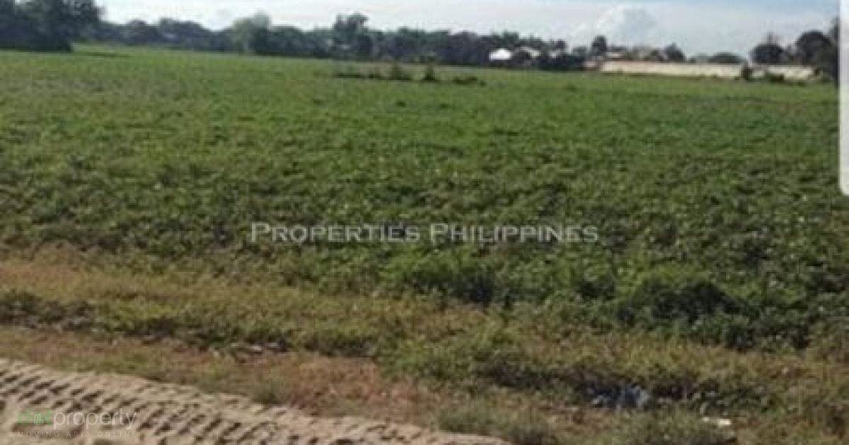 MONCADA, TARLAC LOT. 📌 Land for sale in Tarlac Dot Property