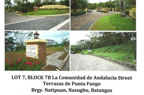 Land For Sale In Natipuan Batangas