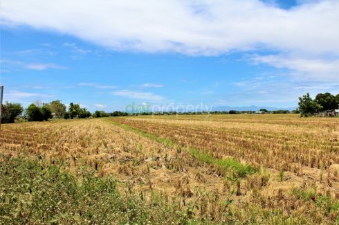 ecija talavera